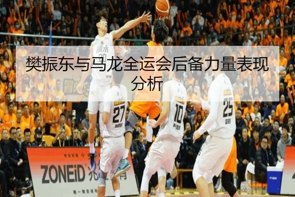 樊振东与马龙全运会后备力量表现分析